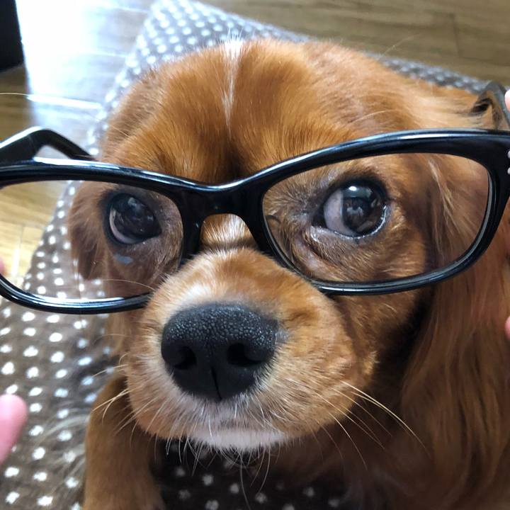 61045c48 a741 4376 bd9a 4526a35316bb 1538269070233