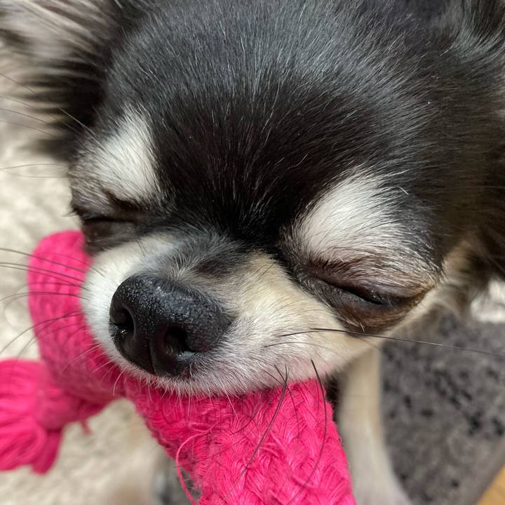 610478c8 5610 4e5c a537 2f5bfea45d51 1610285521580