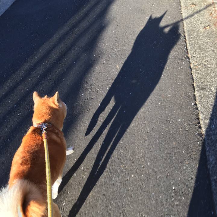 6104b923 c8c2 46fa a227 e0df055176e0 1514595946480