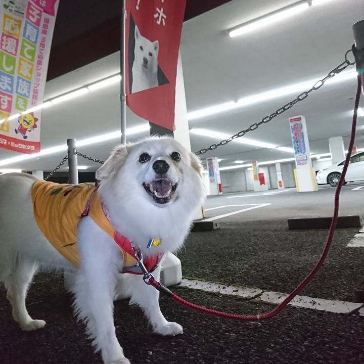 6104e0a1 591c 488c 9d94 9e53df064ce7 1539777215212