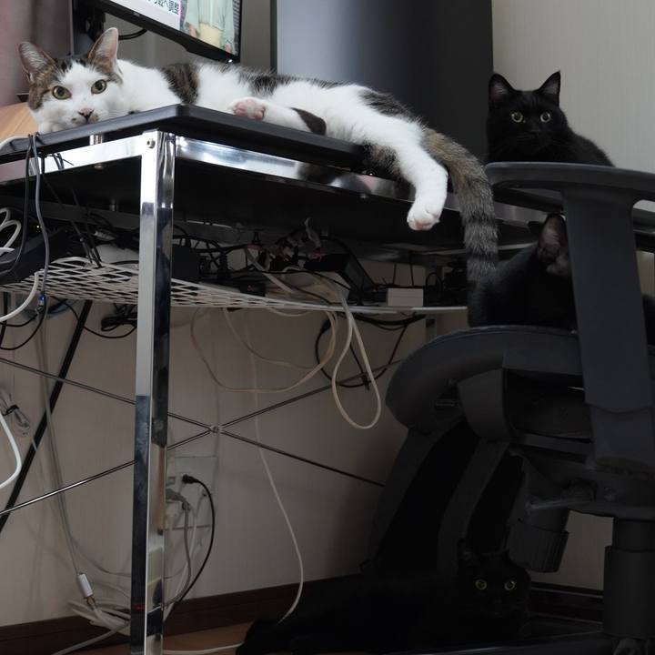 6105148e e285 4176 8741 c894cb1f79a6 1698761880636