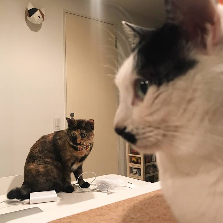 61052938 6eb8 46a3 90eb 47898faafda6 1521985408297