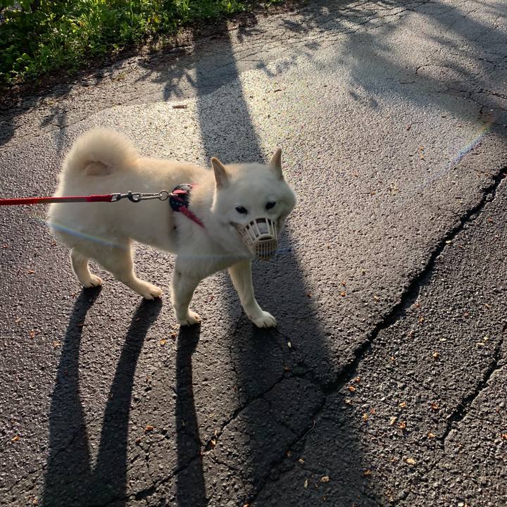 61053e56 d6ae 4058 bf7a cdd9f779c43e 1590356266198