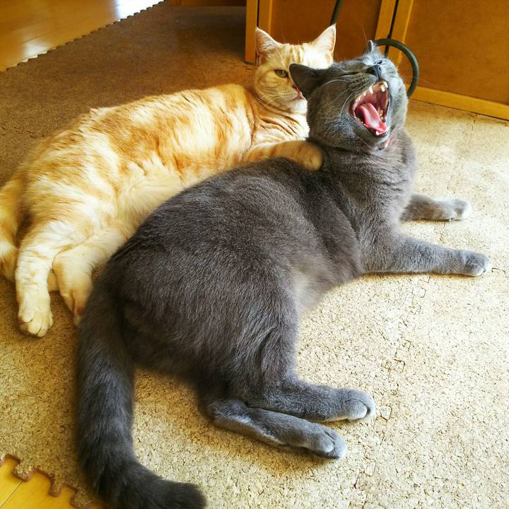 61054ec3 5fb3 4866 983b 661b7ec64ca7 1522237625298