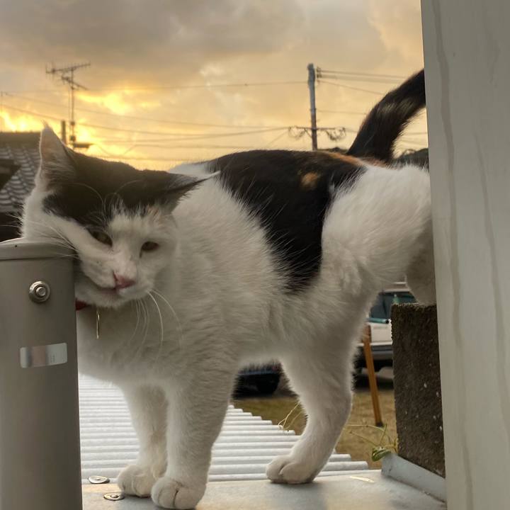 6105897f 13fe 4a04 a738 08d091113d0e 1641913970935