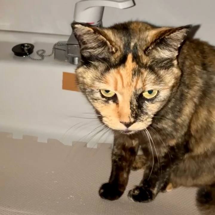 6105ed5e edc8 456a bf6b c4edc75ba952 1737579077328