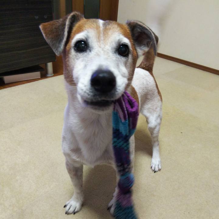 61060b9a 1397 4ebc b1ae 64e5fb3893a9 1526192400057