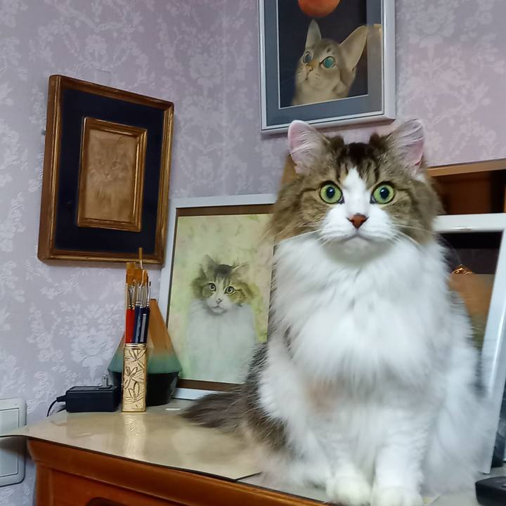 61061656 6802 4cdf b61b df55cd90d64c 1635935537365