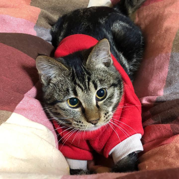 61061c1f c5a1 4b32 b5da b92c8e0929c9 1737802774258