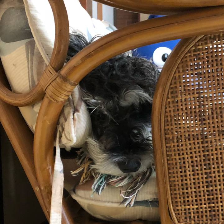 61061ec4 d703 4139 b5c9 ee62fbcb263b 1537011683534