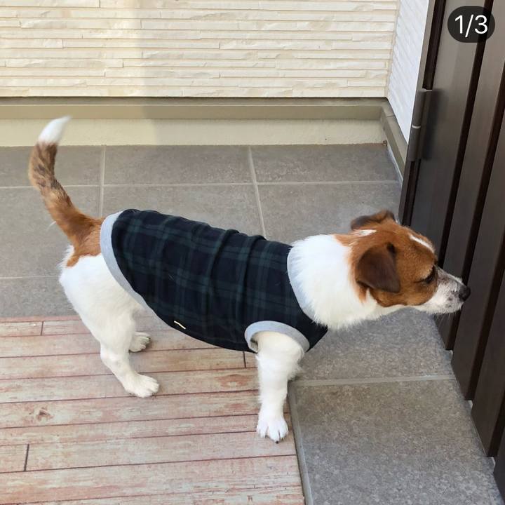 61062803 daf3 4cde 9e39 a0f29f77fd3e 1517319849399