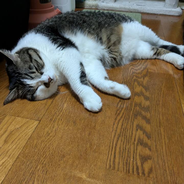 61066cb0 86c2 4271 bb45 f844eecf8774 1721475458341