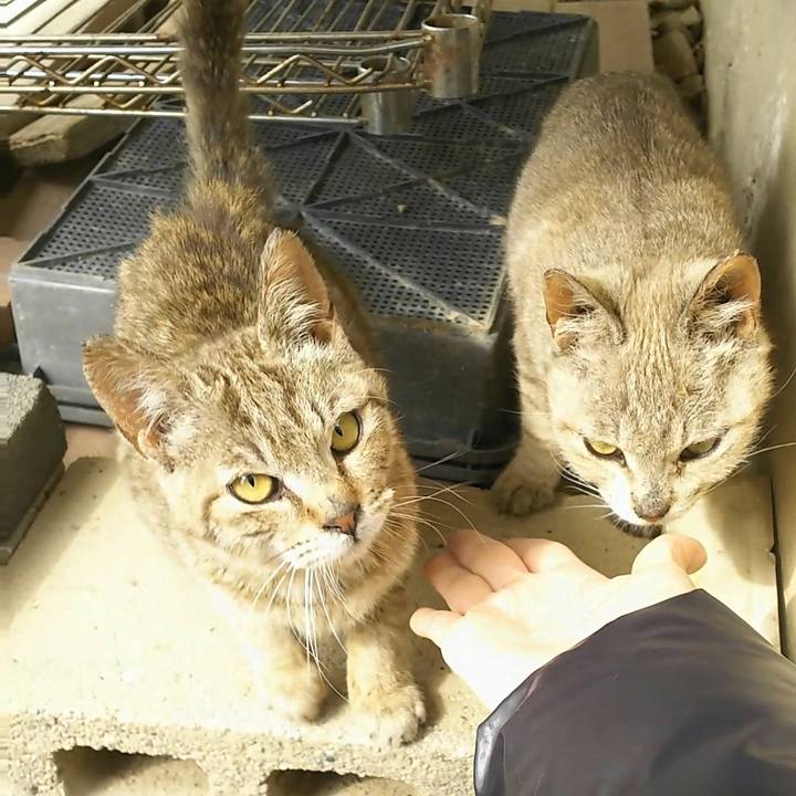 61067471 6341 41c7 adb9 c1ec46010515 1523422617102