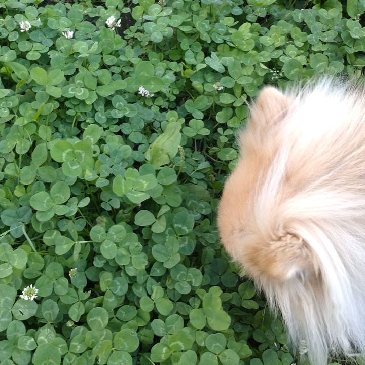 610683aa 17ce 4599 bb70 6aa07a69cd9c 1749080442609