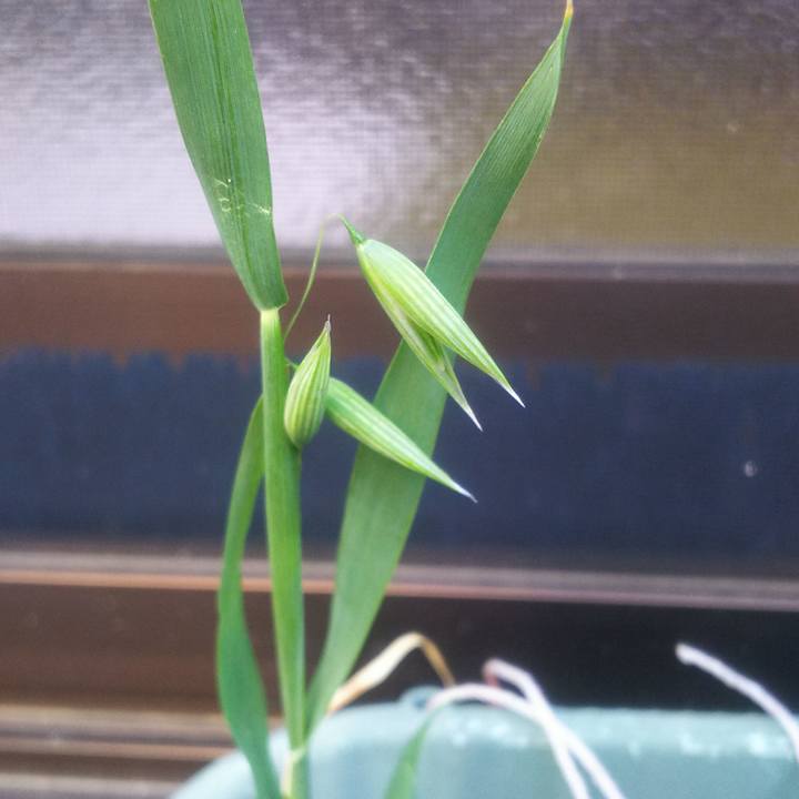 6106977f 9dd7 44a1 8f97 da61b29448c0 1555379910313