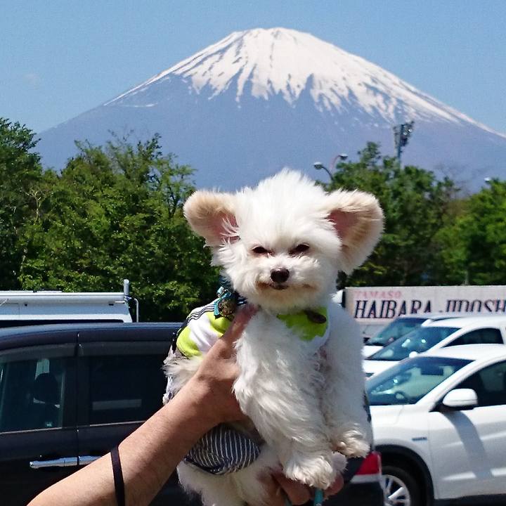 61069a86 5f1d 436a a571 263114d278be 1520847970721