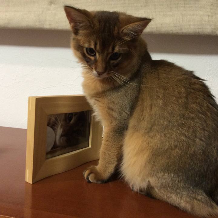 6106b811 a00d 4c71 a801 a85b09e4f1ea 1574292934909