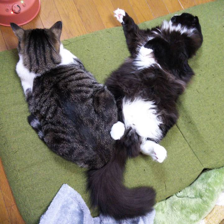 6106d252 8389 4856 bec5 e90e804400f4 1652258116311