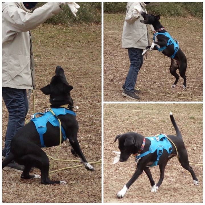 6106f6a7 9441 4cf6 9d19 ac4aac69bce4 1612744282872