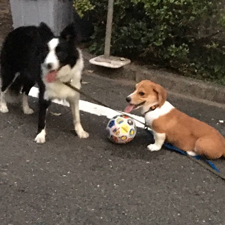 61072a3f c55b 4b20 b06d fd80a73dcda2 1592662251999