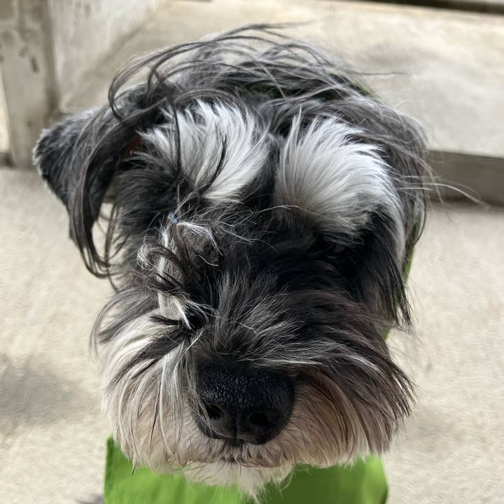 61073196 2ee4 4ae4 959b a598e128b9ed 1711197006546