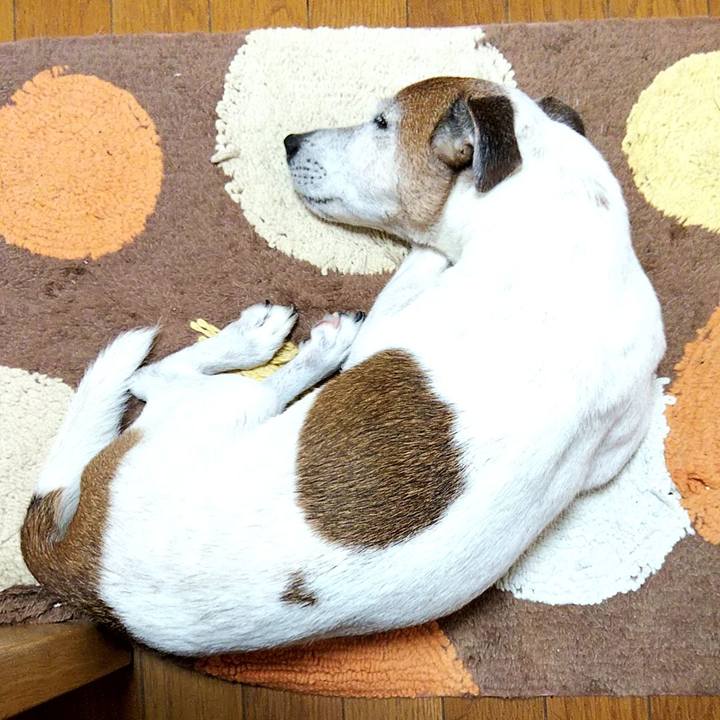 61073771 d603 4e15 a928 54facb6a08dc 1565095039579