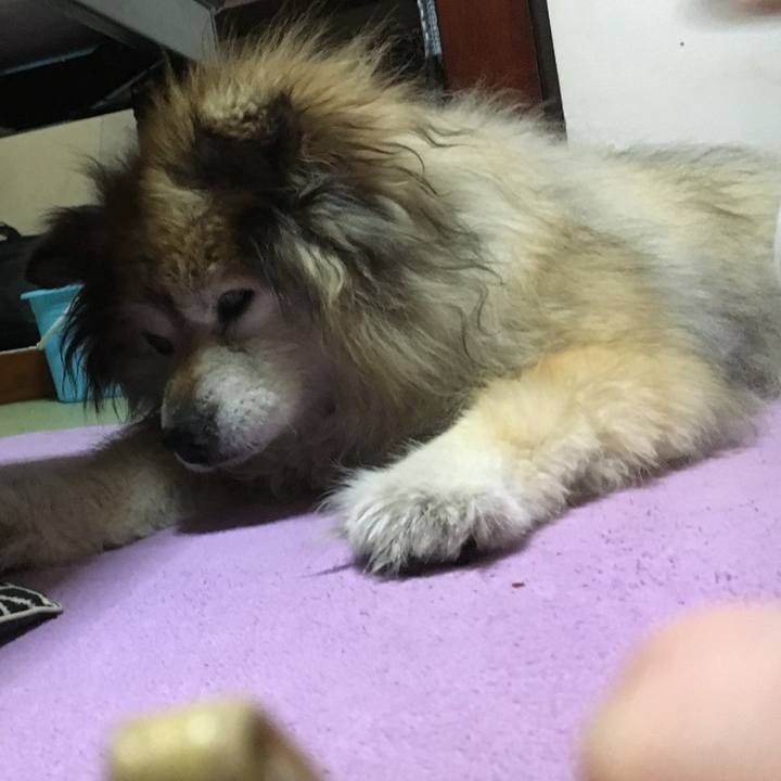 6107625c a49c 4aed 961a 4cfcbf8c04a0 1648449145189