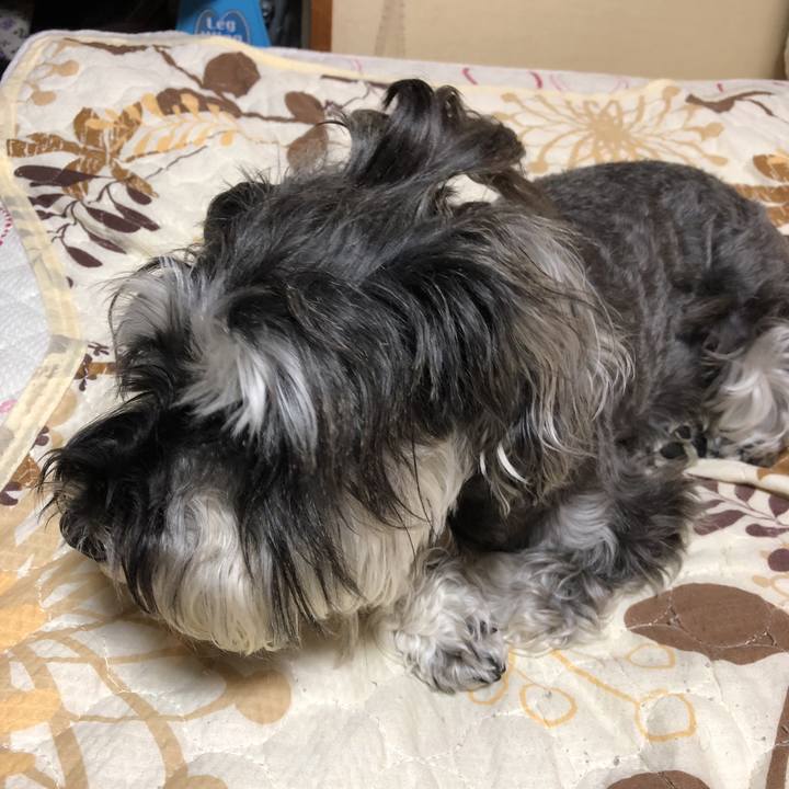 61078698 113d 4765 9099 024560bfe0ee 1530539465790