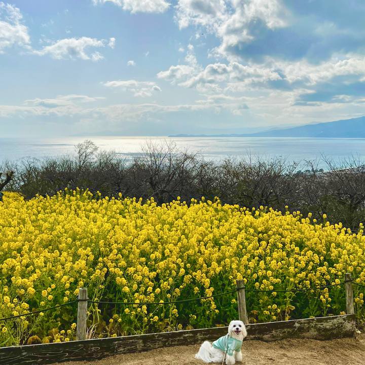 610791ba a186 40e4 8269 096f94bee615 1676192577335