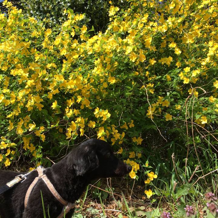 6107dc42 5092 40b2 aa06 063bbb33f35c 1522375268047