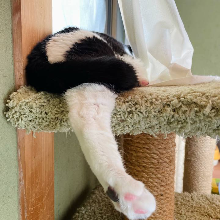 6107e293 e44e 46eb a08f 15afd0cc53ca 1626230719306