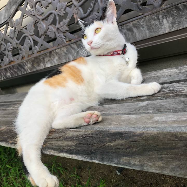 610806a1 2371 4740 a968 725394f735be 1629630436767