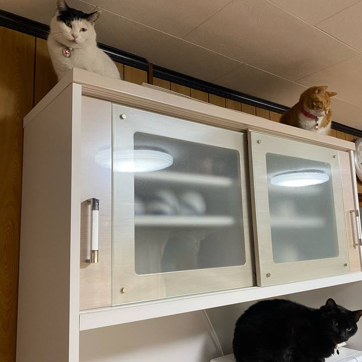 610824e7 c2f4 43d1 ad7b 99ded6898871 1643506368083