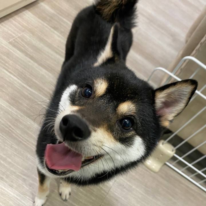 61082b52 375a 48bc 9284 08c6c72449bb 1645431881411