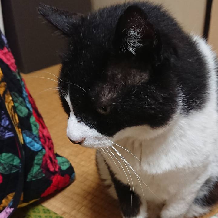 61085030 5f8d 4d19 82d6 921588b23382 1561953048190