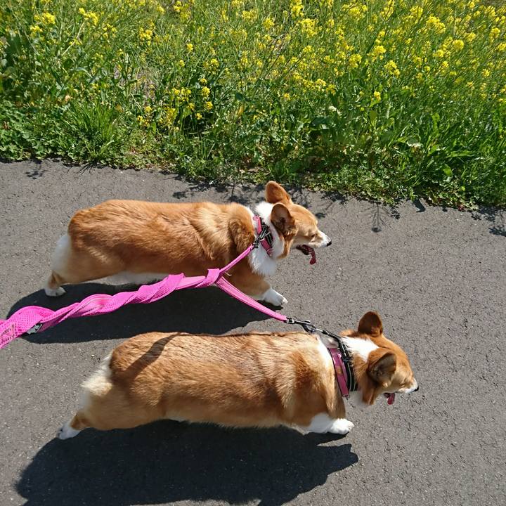 61085347 3c13 4956 b980 6928f032aa1d 1555556083893