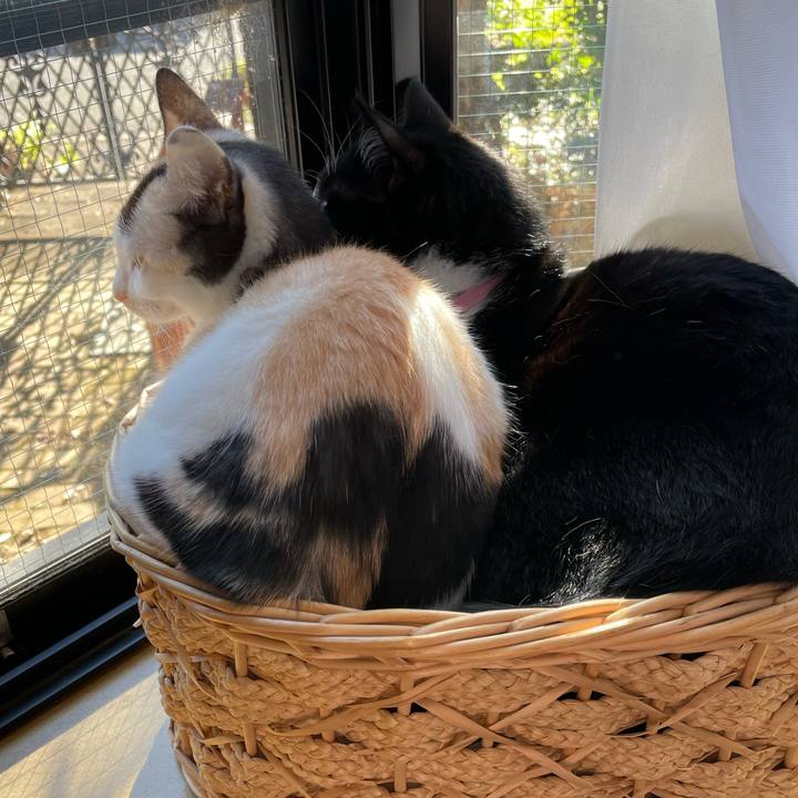 61087c28 b130 474c 89c5 839953b76ff6 1699920089197