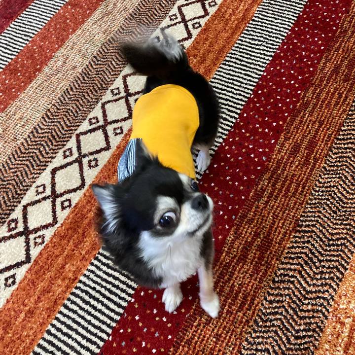 6108837c 38f7 42dd 9f9a 44370940b703 1673274808565