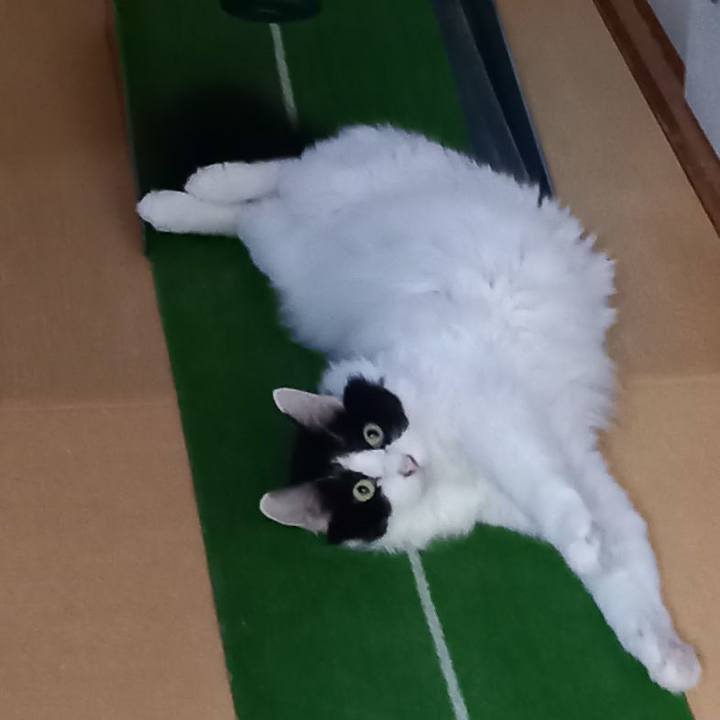 6108b816 3d15 4afa a3d1 b2cbcc7615c3 1626908320790