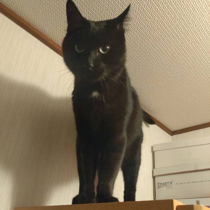 6108d3c4 f40b 4fb3 b873 84c1fc69defa 1714385519479