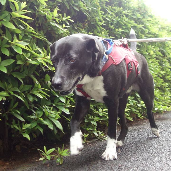 6108d59c 7e09 4829 a37c c213dc719930 1684025827741