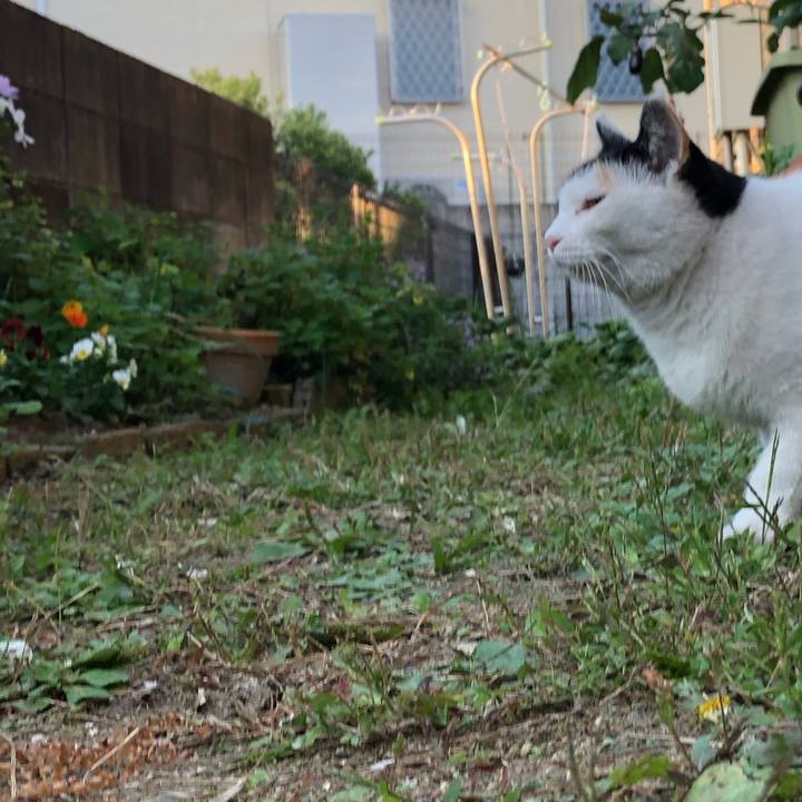 610901f0 fbfb 44b4 b653 73247dff4901 1604096091376