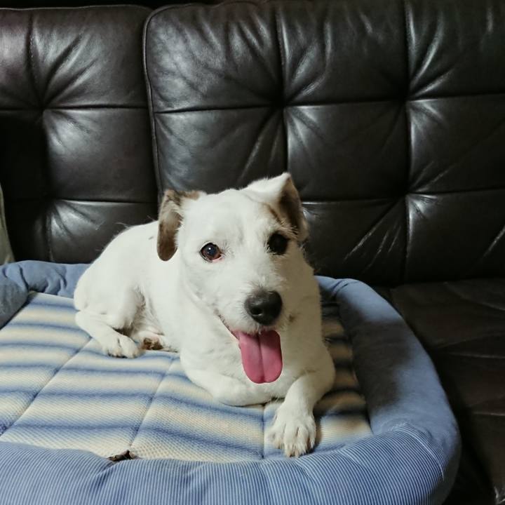 61090b86 f0c1 41a0 8884 362600ab0609 1570146554408