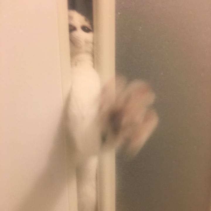 61090dc4 af2d 4ef4 98f6 e186a8890292 1548333375820