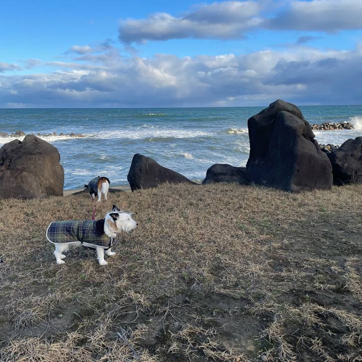 6109570f 4688 4a23 b91a c7c98c70a940 1772668863189