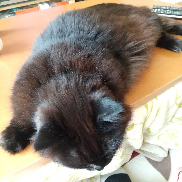 610967ec 3997 4df4 9e49 ef2d6115af67 1619241499016