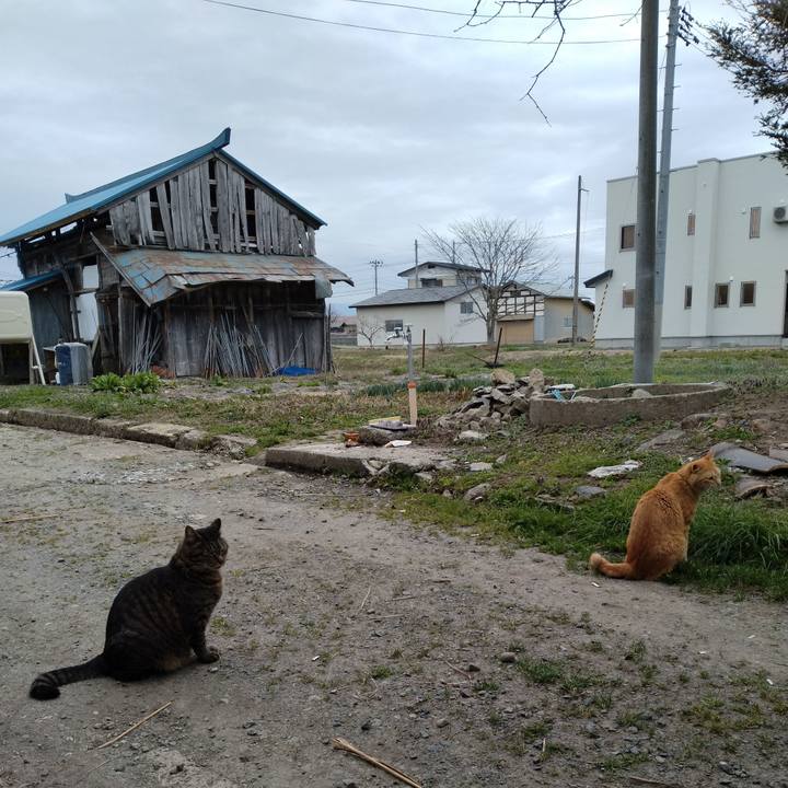 6109c106 b9b4 490b bfdc 6b50de94a36b 1680762225989