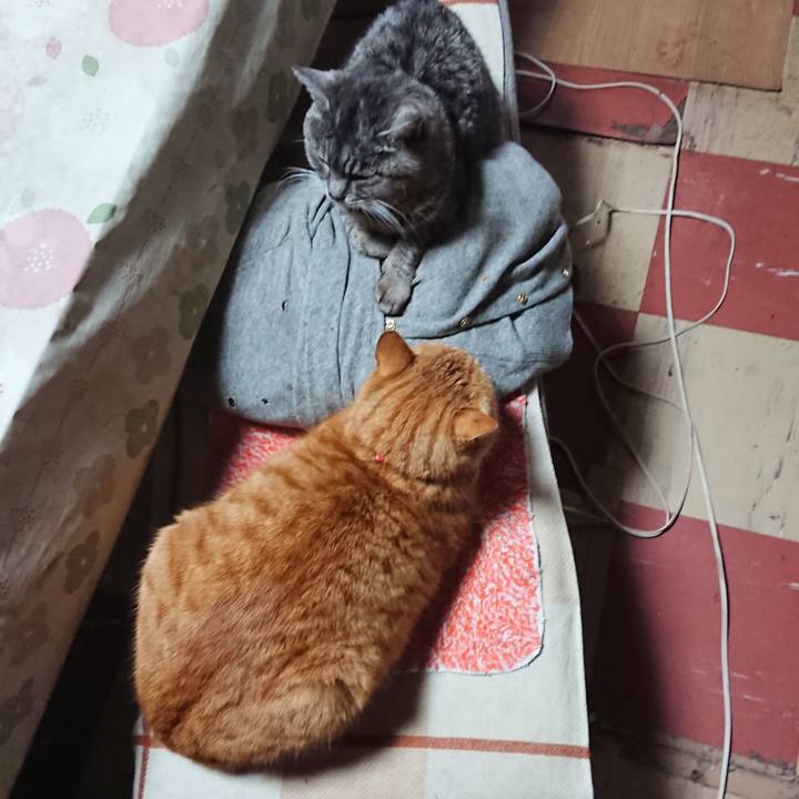 6109c7b1 ffc6 4302 81ff 84a19b074e41 1577770875130