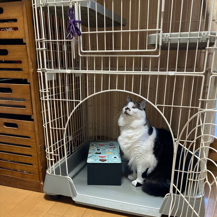 6109e6b3 f4cc 4dec 8367 8120149fe299 1711233253314