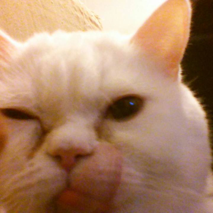 610a0b75 c4dd 45c5 aaf3 b60dc2106211 1562249580679